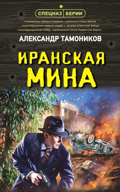 Книга: Иранская мина. Автор: Александр Тамоников