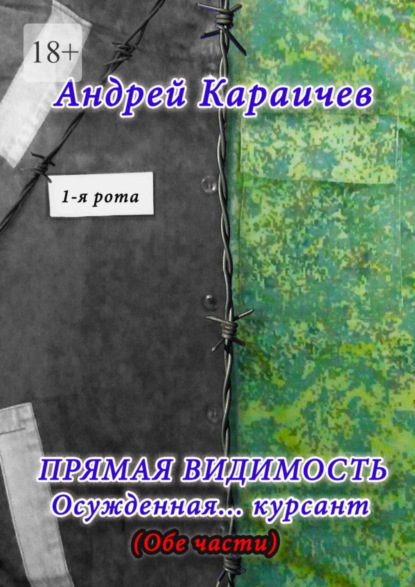 Книга: Прямая видимость. Осужденная… курсант. Автор: Андрей Караичев