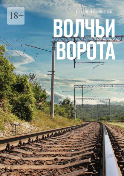 Книга: Волчьи ворота. Автор: Евгений Башкарев