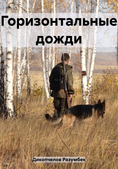 Книга: Горизонтальные дожди. Автор: Разумбек Дикопчелов