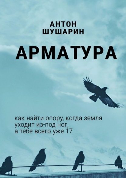 Книга: Арматура. Автор: Антон Шушарин