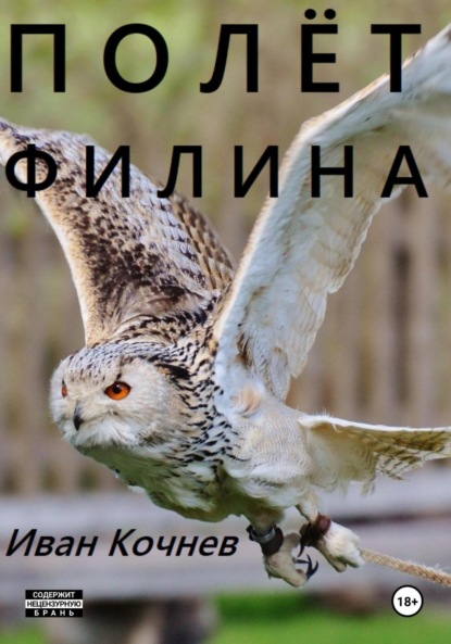 Книга: Полёт Филина. Автор: Иван Кочнев