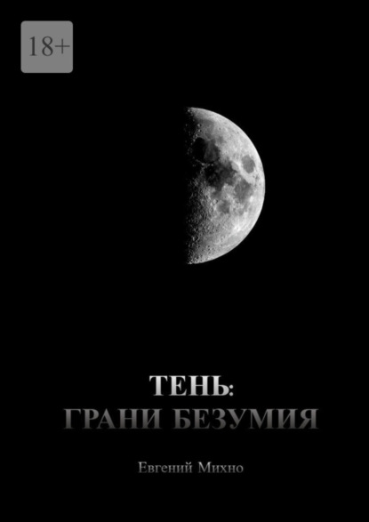 Книга: Тень: Грани безумия. Автор: Евгений Михно