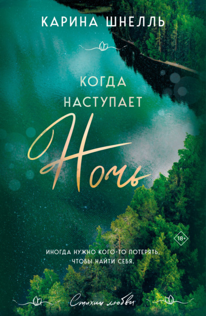 Книга: Когда наступает ночь. Автор: Карина Шнелль